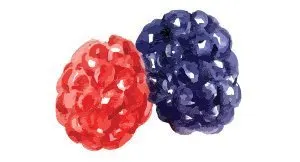 Pillars packaging illustration of mixed berries