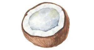 Pillars packaging illustration of coconut flesh